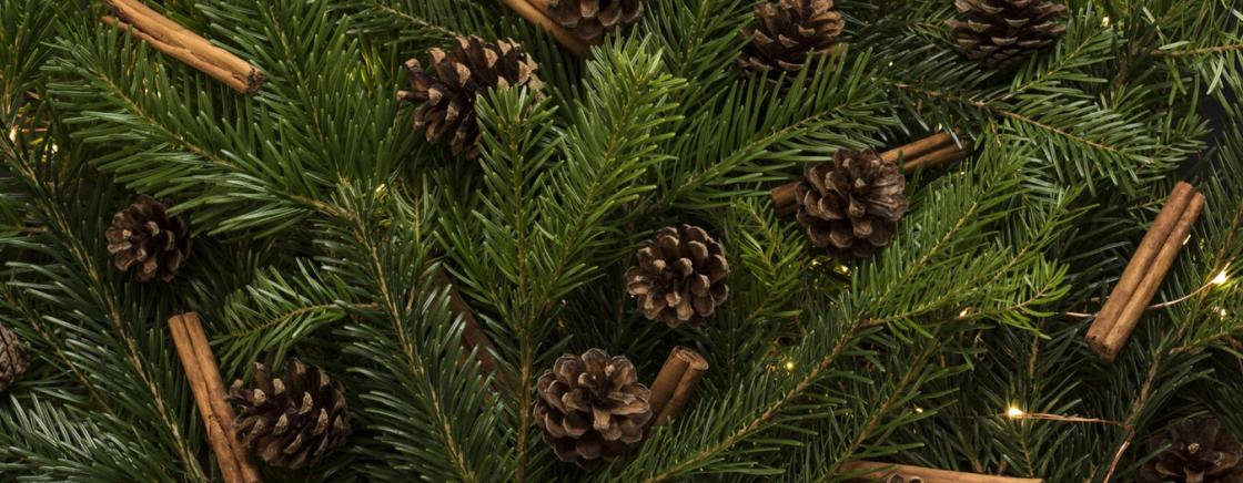 Les sapins de Noel des créateurs