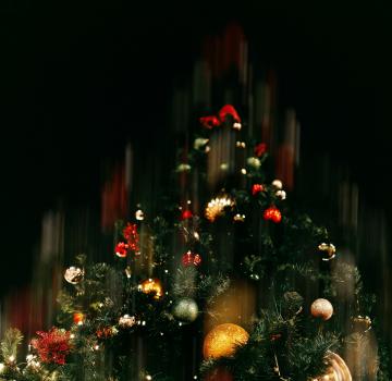 CELEBRATE THE HOLIDAYS IN OUR HOUSES